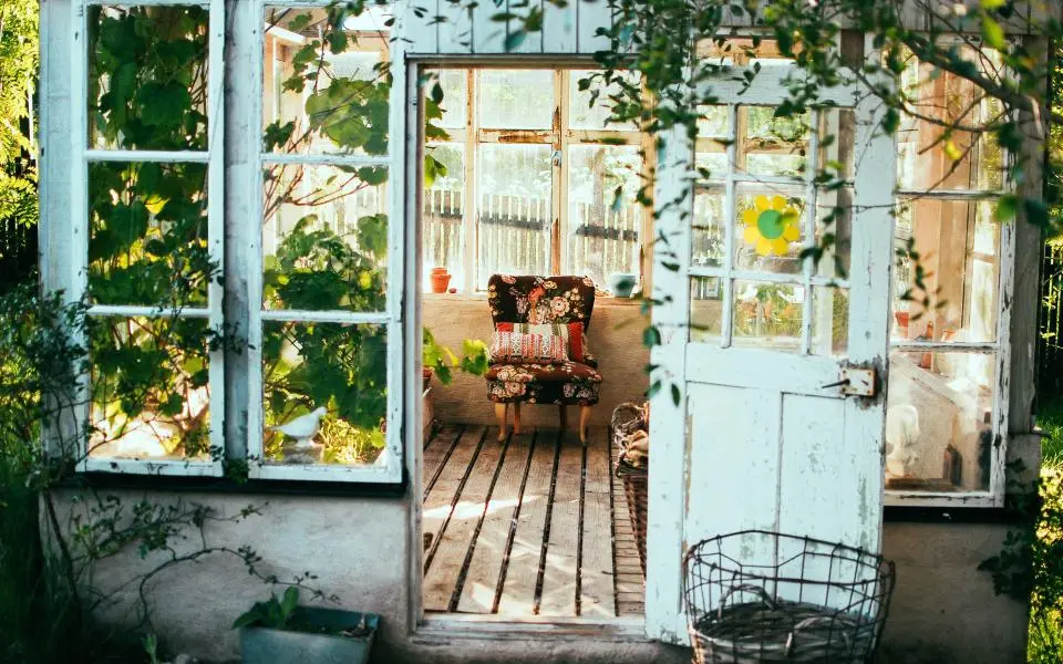 Glazed doors open onto a garden room full of plants